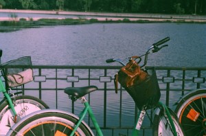 Lacul Valea Morilor 2013