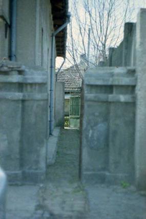 Imagine pe film de Anastasia Taburceanu